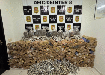 Polícia Civil apreende 1,1 tonelada de maconha em caminhão na Raposo Tavares (Foto: Polícia Civil)