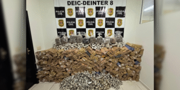 Polícia Civil apreende 1,1 tonelada de maconha em caminhão na Raposo Tavares (Foto: Polícia Civil)
