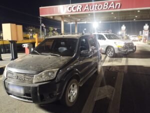 Três macacos-prego resgatados pelo Tático Ostensivo Rodoviário após serem encontrados desacordados dentro de um carro em Nova Odessa.