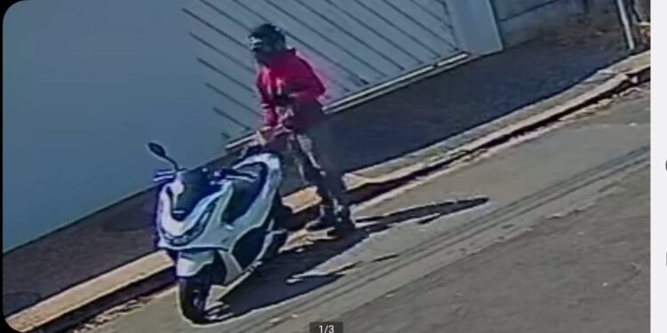 DIG prende dois homens por tentativa de roubo em Santa Bárbara d’Oeste