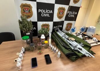 Materiais apreendidos pela Polícia Civil em operação contra o tráfico, incluindo estufa de maconha, plantas, fertilizantes e equipamentos de cultivo.