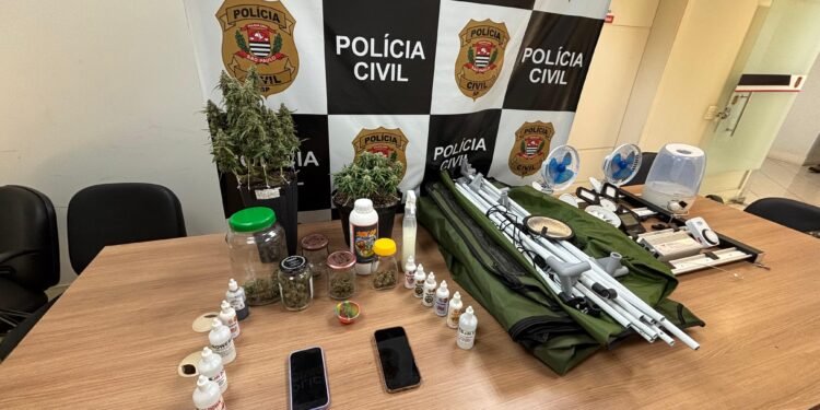 Materiais apreendidos pela Polícia Civil em operação contra o tráfico, incluindo estufa de maconha, plantas, fertilizantes e equipamentos de cultivo.