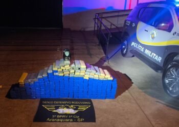 Polícia Militar Rodoviária apreende 265 quilos de maconha durante operação na rodovia Armando de Sales Oliveira, em Pitangueiras.