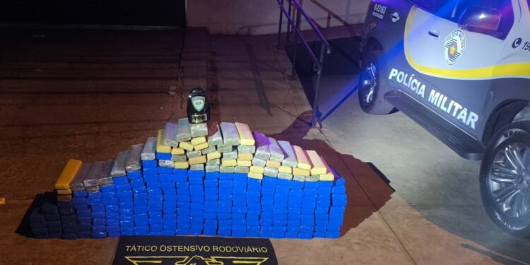 Polícia Militar Rodoviária apreende 265 quilos de maconha durante operação na rodovia Armando de Sales Oliveira, em Pitangueiras.