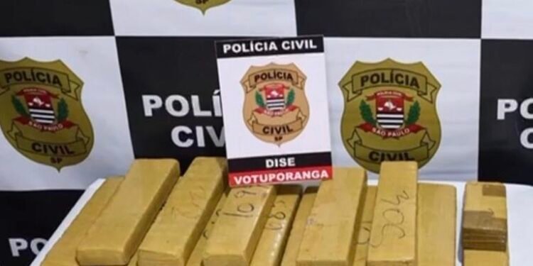 Apreensão de maconha realizada pela Dise de Votuporanga durante operação contra o tráfico de drogas no bairro Pozzobon.