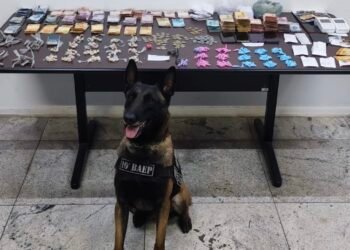 Baep fecha “escritório do tráfico” em adega no bairro Mathiensen em Americana