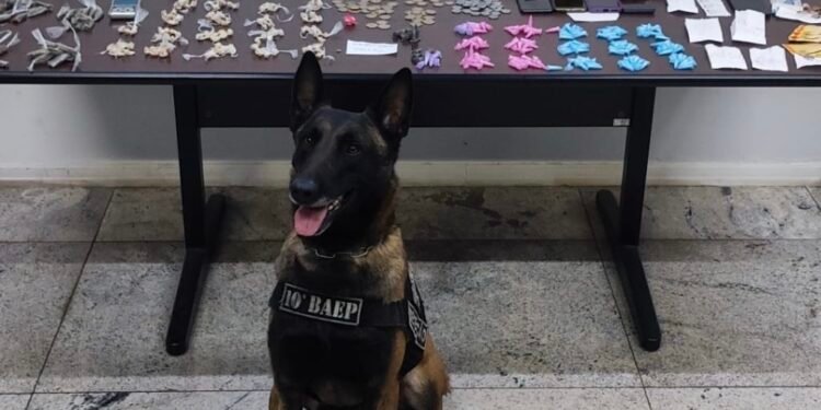 Baep fecha “escritório do tráfico” em adega no bairro Mathiensen em Americana