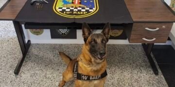 Polícia Militar apreende arma de fogo e munições após prisão de suspeito em Sumaré.