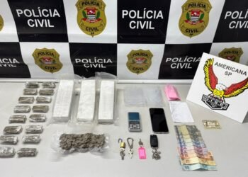 Polícia Civil da DISE de Americana apreende tijolos de maconha e prende homem em flagrante durante a Operação Vinha no interior de São Paulo