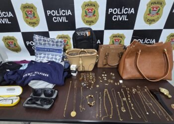 DIG de Americana prende diarista por furto de joias em condomínio de luxo em Santa Bárbara d’Oeste