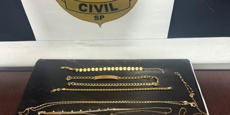 Policiais civis da DIG de Americana durante operação “quinta-feira da diarista”, que resultou na prisão de uma diarista suspeita de furtar joias em condomínio de alto padrão no bairro Nossa Senhora de Fátima, em Americana (SP).