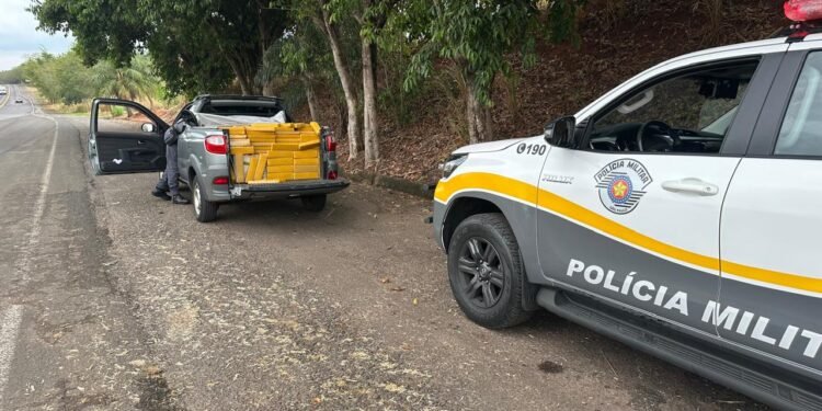 Em Rinópolis apreensão de drogas resulta em prisão e mais de 700 quilos apreendidos