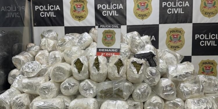 Polícia Civil apreende 138 quilos de skunk em caminhão vindo da Bahia para São Paulo