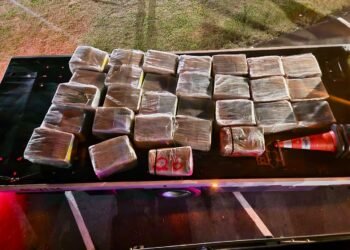 Tático Ostensivo Rodoviário apreende caminhoneiro com mais de uma tonelada de maconha na Castello Branco