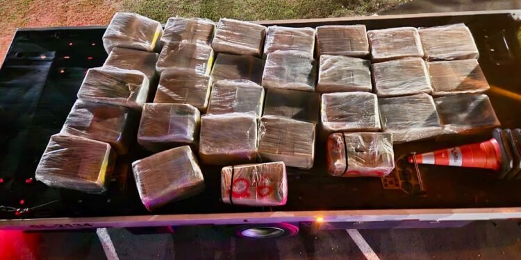 Tático Ostensivo Rodoviário apreende caminhoneiro com mais de uma tonelada de maconha na Castello Branco