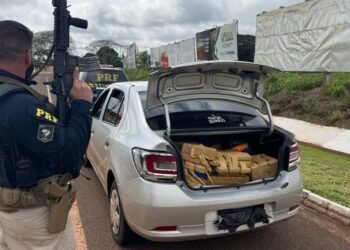 Policiais rodoviários federais apreendem centenas de quilos de drogas durante fiscalização, condutor foi preso por tráfico de drogas nas rodovias BR-163 e BR-116.