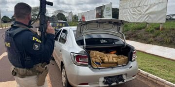 Policiais rodoviários federais apreendem centenas de quilos de drogas durante fiscalização, condutor foi preso por tráfico de drogas nas rodovias BR-163 e BR-116.