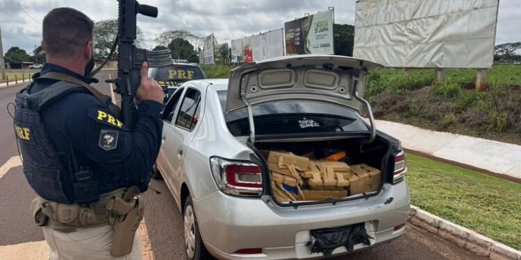 Policiais rodoviários federais apreendem centenas de quilos de drogas durante fiscalização, condutor foi preso por tráfico de drogas nas rodovias BR-163 e BR-116.