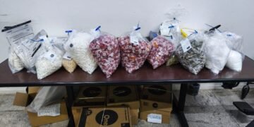 Diversos sacos plásticos com porções de cocaína, crack e maconha apreendidos pela Rocam durante operação no Zincão, em Americana (SP).