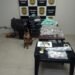 Canil da Guarda Civil Municipal apoia Polícia Civil e apreende grande quantidade de drogas em Santa Bárbara d’Oeste