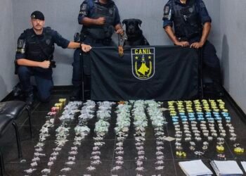 ROMU de Guarulhos com apoio do Canil prende criminoso por tráfico de drogas no Jardim Palmita