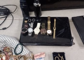 Gcm de Capivari detém criminosos por furto no bairro Jardim Tarsila