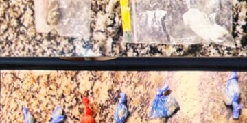 GCM de Santo Antônio de Posse prende criminoso por tráfico de drogas em área de mata no Bela Vista II Subtítulo: Equipe Charlie flagrou homem com crack e maconha após tentativa de fuga durante patrulhamento noturno Matéria: Na noite deste sábado (8), a Guarda Civil Municipal (GCM) de Santo Antônio de Posse prendeu um criminoso por tráfico de drogas em uma área de mata localizada na Rua Luis Fabiano Barbosa Garon, no bairro Bela Vista II, em Santo Antônio de Posse (SP). Durante patrulhamento preventivo e ostensivo, as equipes da VTR 018, VTR 019 e VTR 020, todas da Equipe Charlie, avistaram dois homens que, ao perceberem a aproximação das viaturas, tentaram fugir por um terreno baldio que dá acesso a uma região de mata. Os guardas iniciaram acompanhamento e conseguiram abordar os dois. Durante a abordagem, M.B.A. afirmou ser usuário de drogas e declarou que estava no local apenas para comprar entorpecentes. Já com A.C.G., os agentes encontraram uma sacola contendo 16 pedras de crack e 4 porções de maconha. Diante dos fatos e dos elementos colhidos, os guardas deram voz de prisão ao traficante e encaminharam ambos à delegacia da cidade, onde A.C.G. foi autuado por tráfico de drogas, conforme previsto na Lei 11.343/2006. As drogas apreendidas foram apresentadas à autoridade policial de plantão, que determinou as providências cabíveis. A ação demonstra o empenho da GCM de Santo Antônio de Posse no combate ao tráfico de drogas e na preservação da segurança da população. Palavra-chave: tráfico de drogas URL (74 caracteres): gcm-santo-antonio-de-posse-prende-criminoso-por-trafico-de-drogas ⸻ Tags sugeridas para WordPress (SEO): GCM Santo Antônio de Posse, tráfico de drogas, Bela Vista II, crack, maconha, área de mata, Equipe Charlie, prisão em flagrante, Guarda Civil Municipal, segurança pública, policiamento preventivo