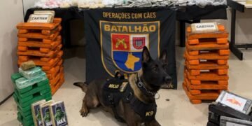 Baep encontra casa bomba com 130 kg de drogas em Paraisópolis na zona sul de São Paulo