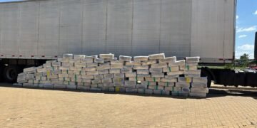 Tor apreende 1,7 tonelada de maconha em Bady Bassit prende e caminhoneiro por tráfico de drogas na BR-153