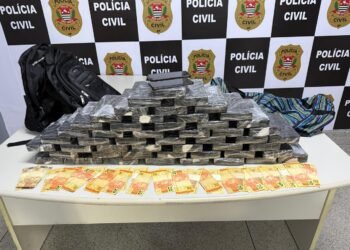 Blocos de 50 kg de cocaína apreendidos pela Polícia Civil dispostos sobre uma mesa em delegacia após prisão de um casal em Ferraz de Vasconcelos, na Grande São Paulo.