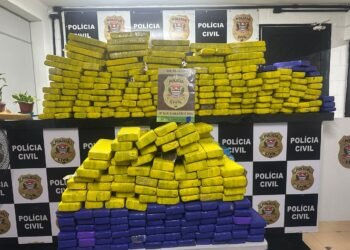 Operação Narke apreende mais de 330 kg de maconha e motorista é preso por tráfico em Vargem Grande Paulista