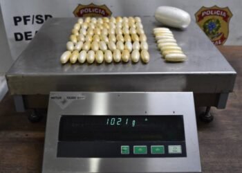 PF prende passageira por tráfico internacional e captura quatro foragidos no Aeroporto Internacional de Guarulho