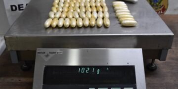 PF prende passageira por tráfico internacional e captura quatro foragidos no Aeroporto Internacional de Guarulho