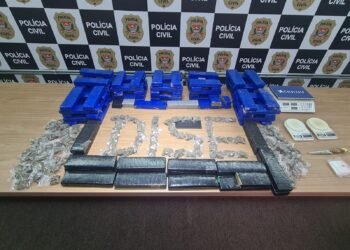 Polícia Civil apreende 80 quilos de maconha dentro de casa bomba em Itapetininga.