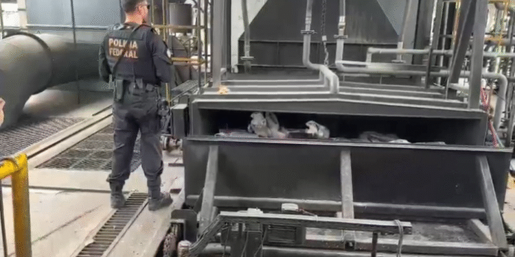 Polícia Federal realiza incineração de 4 toneladas e meia de drogas apreendidas em operações no Aeroporto de Viracopos, em forno industrial de Nova Odessa.