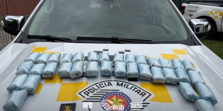 Polícia Militar de Trânsito apreende droga “dry” em ônibus interestadual e prende por tráfico de drogas no Terminal Rodoviário Barra Funda