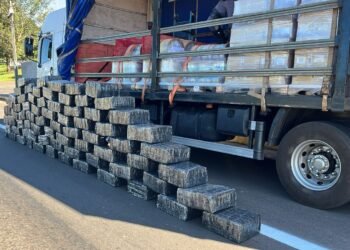 Polícia Militar Rodoviária apreende 1,5 tonelada de maconha escondida em carga de alimentos em Presidente Prudente