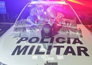 Policiais do TOR apreendem mais de 7 kg de skunk escondidos em mala de passageira de ônibus durante fiscalização na Rodovia Marechal Rondon, em Castilho.