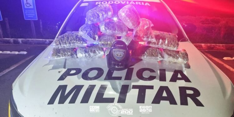 Policiais do TOR apreendem mais de 7 kg de skunk escondidos em mala de passageira de ônibus durante fiscalização na Rodovia Marechal Rondon, em Castilho.