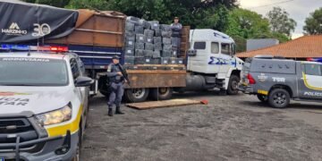 Polícia Rodoviária e Polícia Federal apreendem caminhão com 1,8 tonelada de maconha escondida em carga de madeira em Palmital.