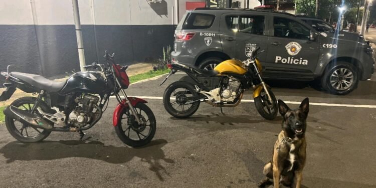 Motocicletas apreendidas pelo BAEP em operação de combate à receptação em Sumaré