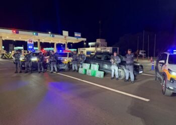 PMR apreende 265 quilos de pasta base de cocaína em caminhonete na Raposo Tavares em Palmital