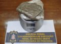 Polícia Penal flagra visitantes com maconha nas penitenciárias de Pracinha e Junqueirópolis
