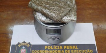 Polícia Penal flagra visitantes com maconha nas penitenciárias de Pracinha e Junqueirópolis