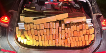 TOR e Deic fazem apreensão de maconha de 1,2 tonelada em Mirassol