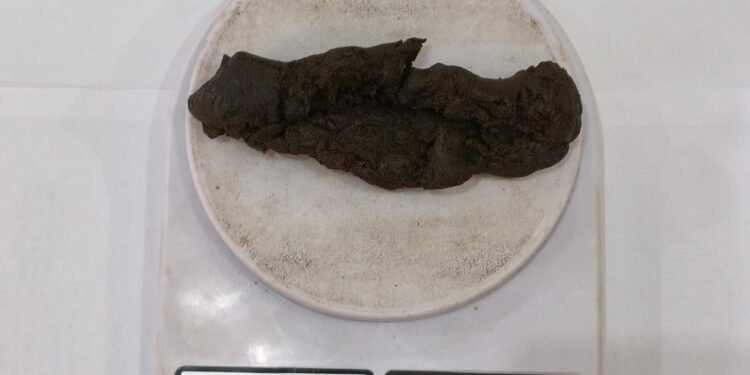 Polícia Penal apreensão de haxixe com visitante no CDP de São Vicente durante revista