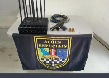 BAEP prende criminoso por posse ilegal de arma de fogo em Aguaí