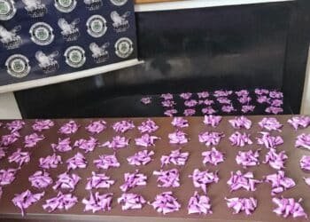 GCM apreende mais de 900 porções de cocaína em área verde de Santa Bárbara d’Oeste