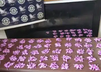 GCM apreende mais de 900 porções de cocaína em área verde de Santa Bárbara d’Oeste