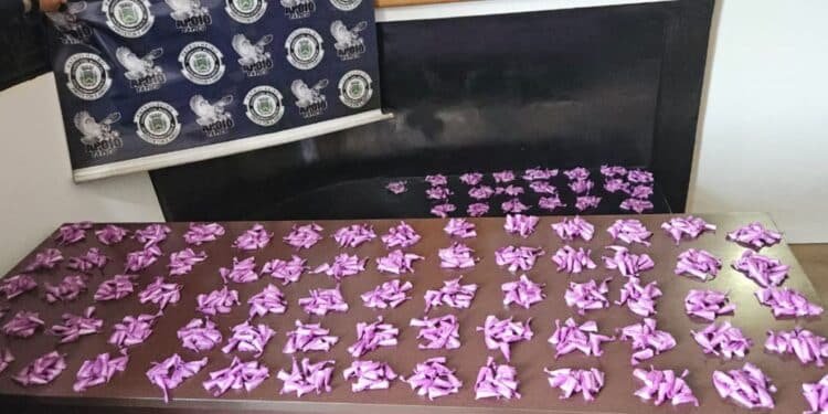 GCM apreende mais de 900 porções de cocaína em área verde de Santa Bárbara d’Oeste